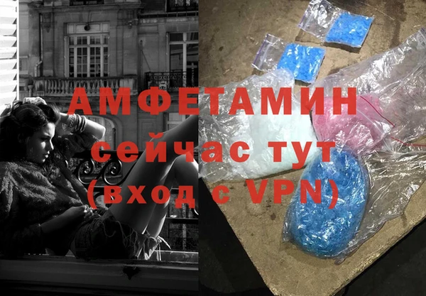 крисы Аркадак