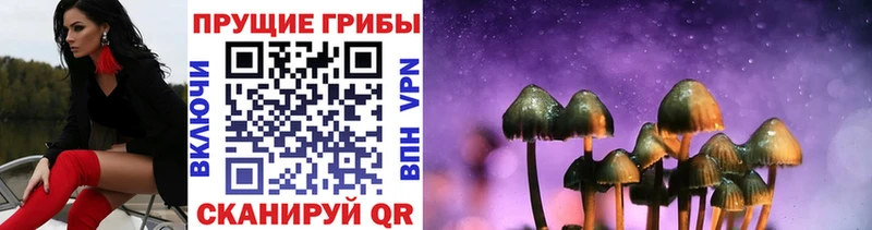 маркетплейс Telegram Артёмовск Псилоцибиновые грибы мухоморы